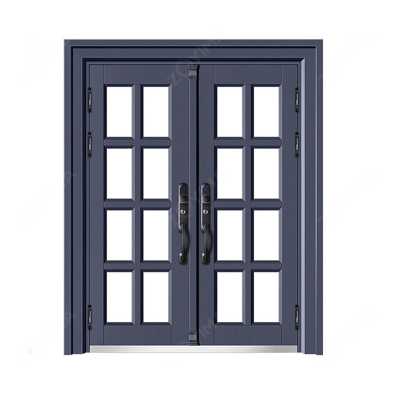 ZYM-G821 Exquisite and unique design galvanized steel glasses door